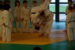 qr7ktkcusqil8w96jevs