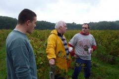 fdg5y0hgh7g8pguglult