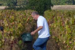 2014-10-04 Vendanges