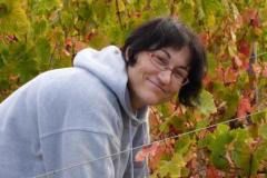 3g7gwqujyp40vco9ip3u