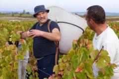 kj8cqe2q3mhlzlw7iwru