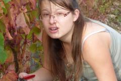 zqqypgt9c8gixibdm0ra