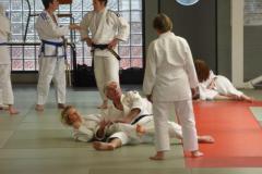 sz1qv89ut8ispcdzk65f