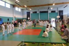 sdjiagr4cmvj8s33shtc