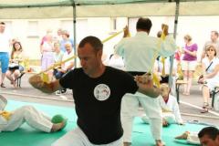 n8aens8c674u79hs044v