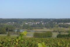 8ygi0qtyimnrwn5etnc4