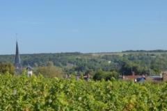 dtfaznugkhg84qb26gtj