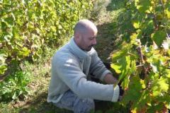 m71428bj27ezk79yyg4j